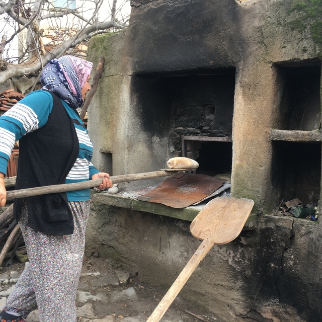Taş fırından sofraya: Kızılca'nın 30 gün bayatlamayan ekmeği