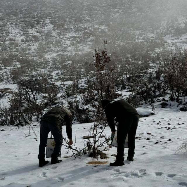 Batman'da yaban hayvanları için doğaya yem bırakıldı