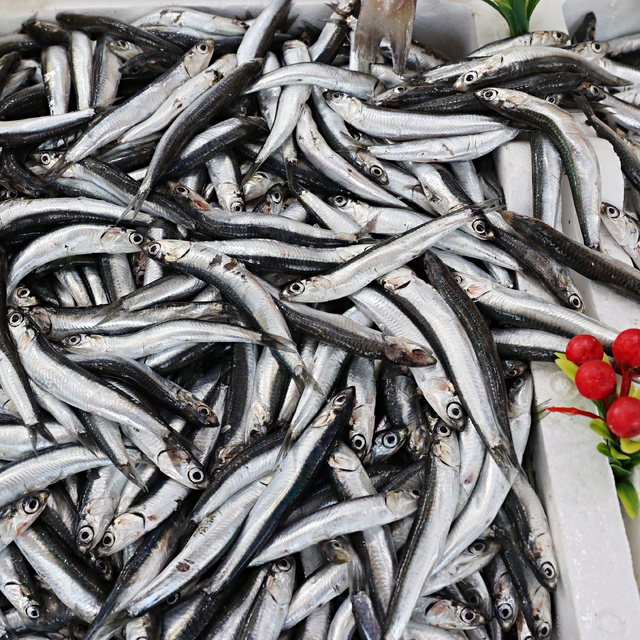 Samsun'da fırtına sonrası hamsiler tezgahlara geri döndü