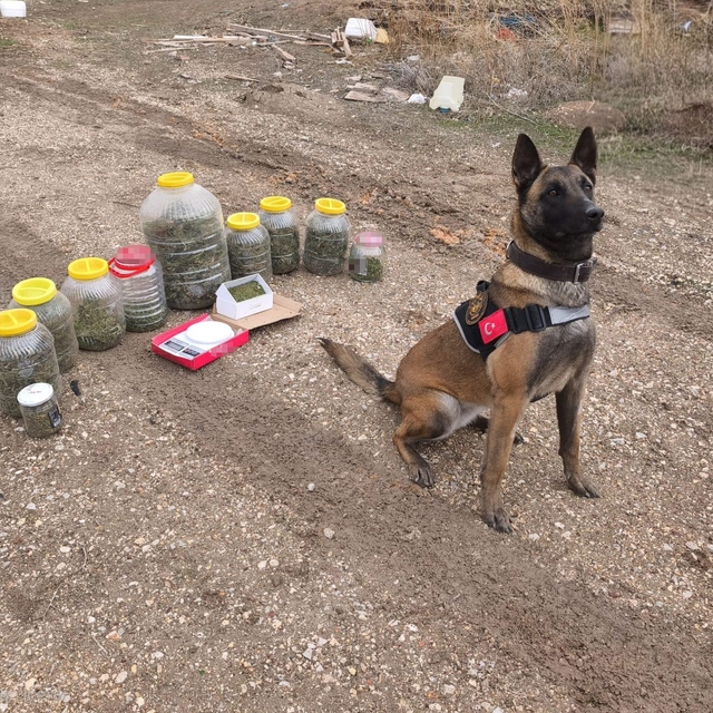 Karaman'da uyuşturucu operasyonu: 1 gözaltı