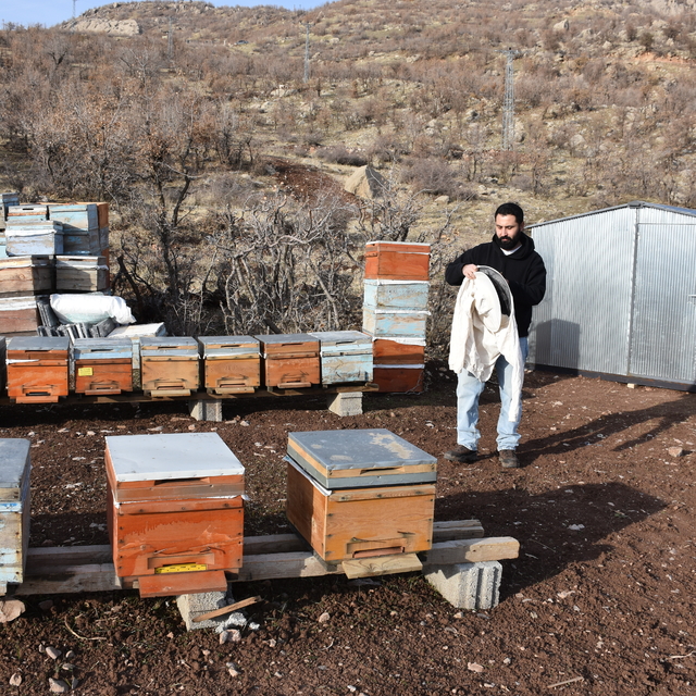 Şırnak'ta ürettiği balla Paris'ten sonra Londra'dan da ödülle dönmek istiyo...