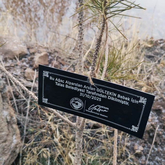Talas Belediyesi'nden geleceğe nefes: Her bebek için bir fidan
