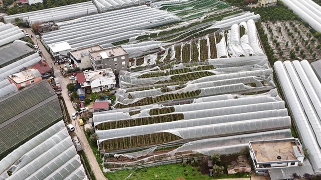 Finike'de hortumdan zarar gören seralarda hasar tespiti başladı