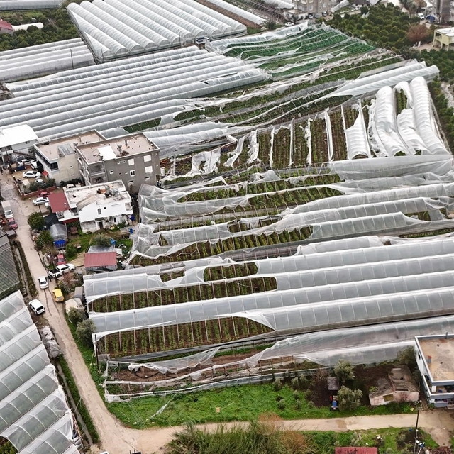 Finike'de hortumdan zarar gören seralarda hasar tespiti başladı