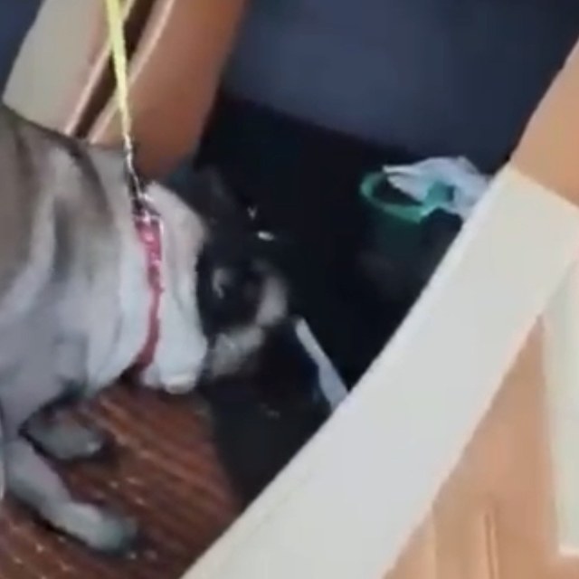 Samsun'da tırda metamfetamin ele geçirildi