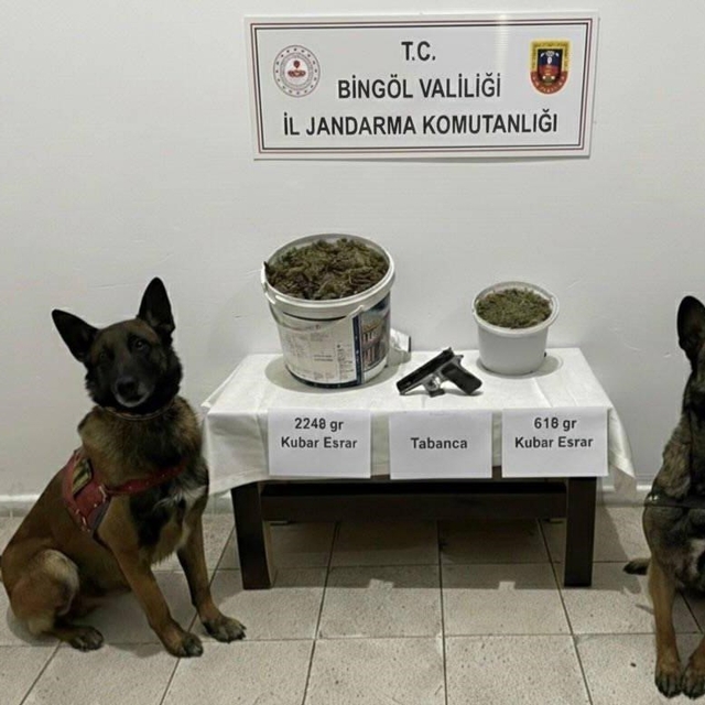 Bingöl'de uyuşturucu operasyonu: 3 gözaltı