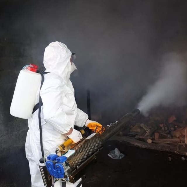 Ordu'da kahverengi kokarcaya karşı 300 binden fazla kışlak ilaçlanıyor