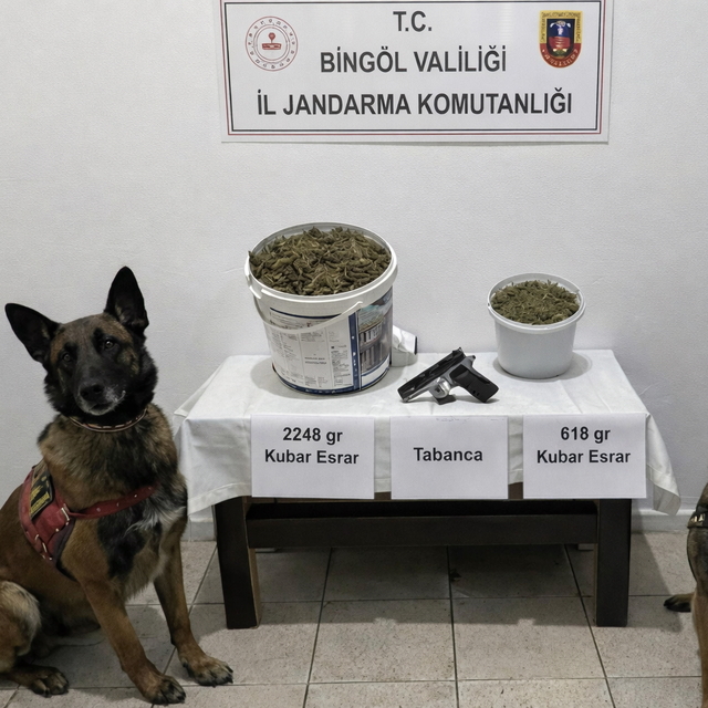 Bingöl'de uyuşturucu operasyonunda 3 şüpheli yakalandı