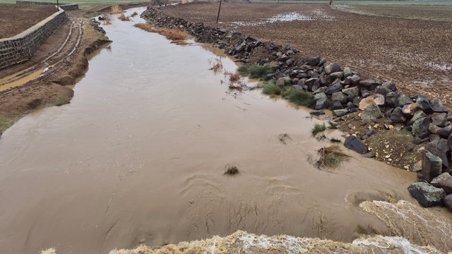 Yavuzeli'nde yağış etkili oldu, Karasu Çayı'nın debisi yükseldi