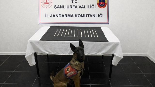 Harran'da uyuşturucu operasyonu: 2 gözaltı