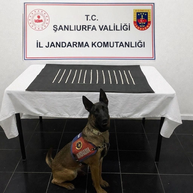 Harran'da uyuşturucu operasyonu: 2 gözaltı