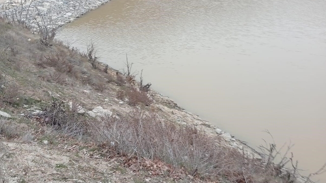 Denizli'de göletlerin doluluk oranları yağışlara rağmen istenilen seviyeye ulaşmadı