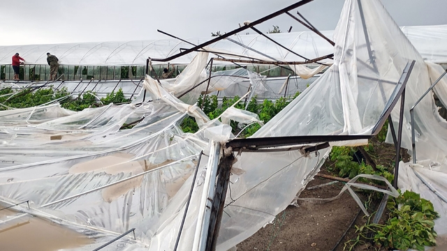 Seydikemer'de hortumun vurduğu seralarda hasar tespit çalışmaları başladı