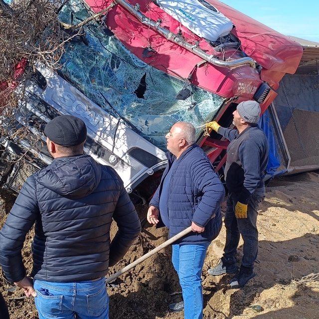 TIR, refüje ve ağaca çarparak devrildi