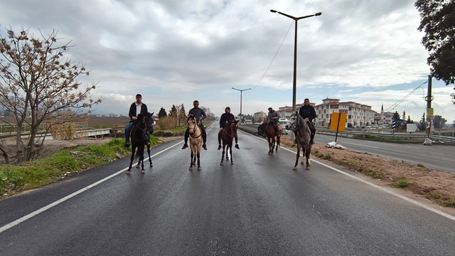 İncirliova'da Rahvan atları yarışlara hazırlanıyor