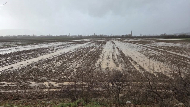 Menteşe'de tarım arazileri için ekipler sahaya indi