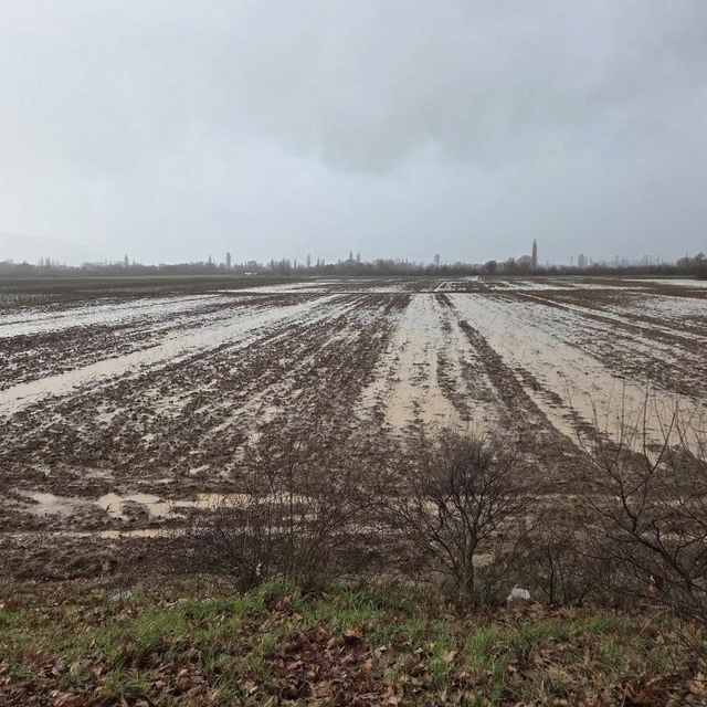 Menteşe'de tarım arazileri için ekipler sahaya indi