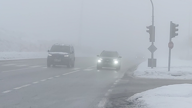 Bingöl'de yoğun sis görüş mesafesini düşürdü: Sürücüler zor anlar yaşadı