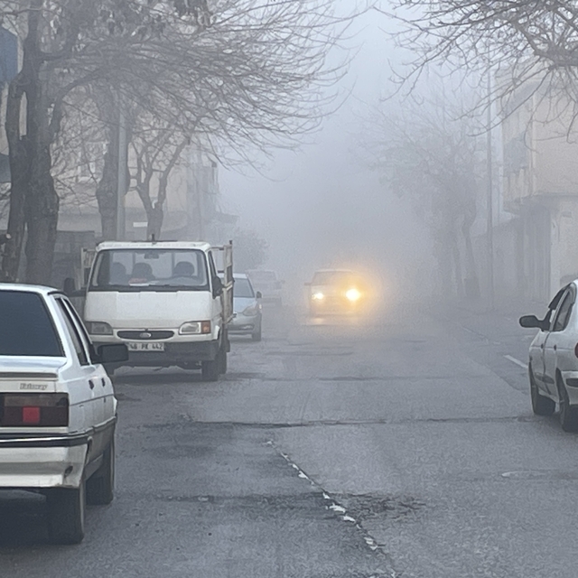 Şanlıurfa'da yoğun sis etkili oluyor