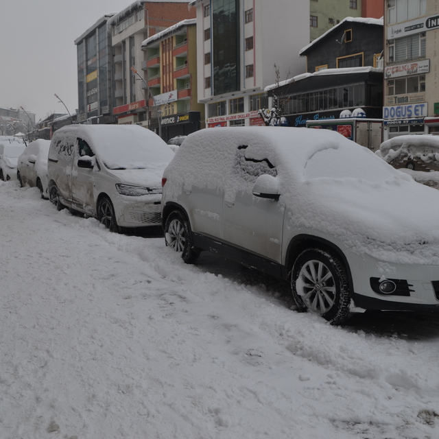 Van ve çevre illerde kar nedeniyle 320 yerleşim yerine ulaşılamıyor