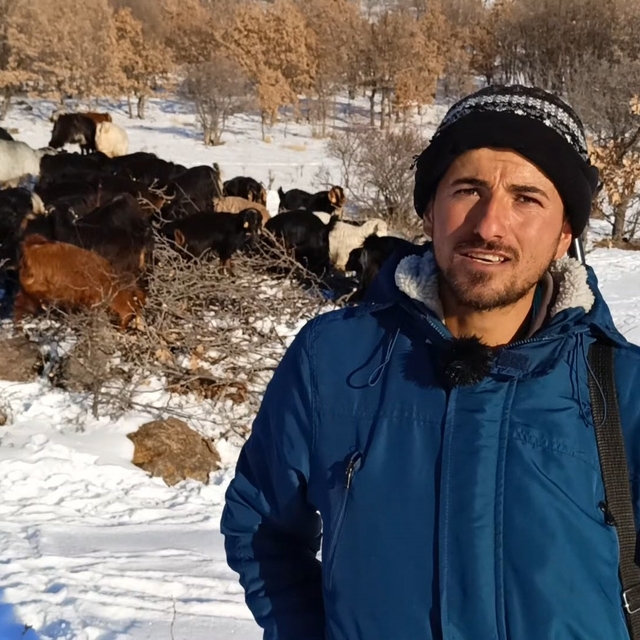 Malatyalı yetiştiriciler zorlu hava şartlarına rağmen üretimi sürdürüyor