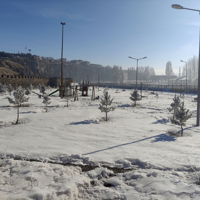 Ardahan'da Sibirya soğukları hayatı olumsuz etkiliyor