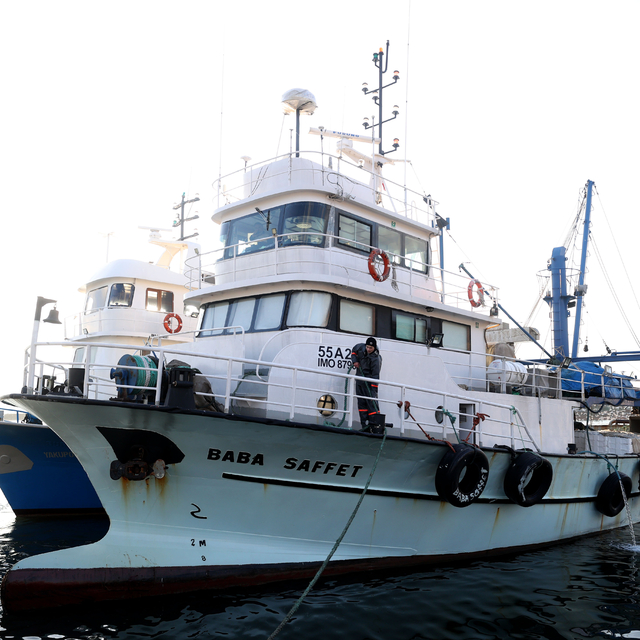 İğneada açıklarında hamsi bereketi