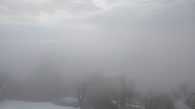Kulp ilçesinde yoğun sis etkili oldu