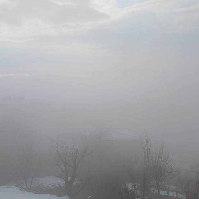Kulp ilçesinde yoğun sis etkili oldu
