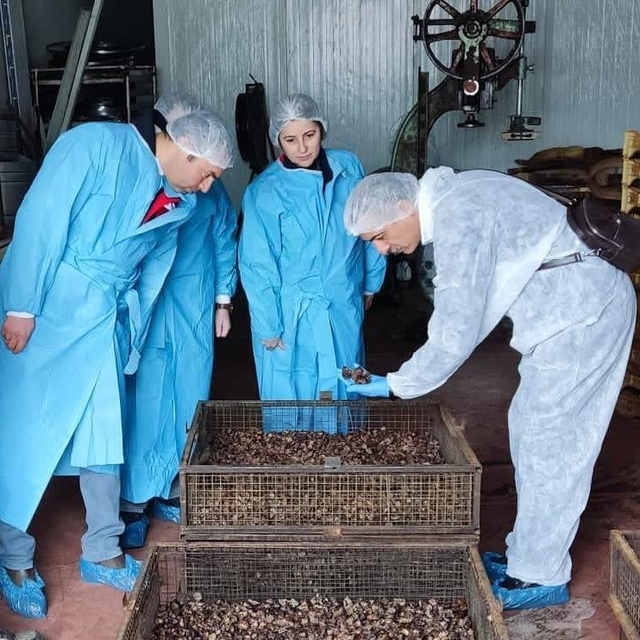 Mama hammadde üretim tesisinde inceleme