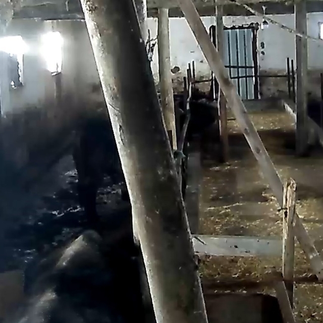 Tokat'ta ahırın çatısı çöktü