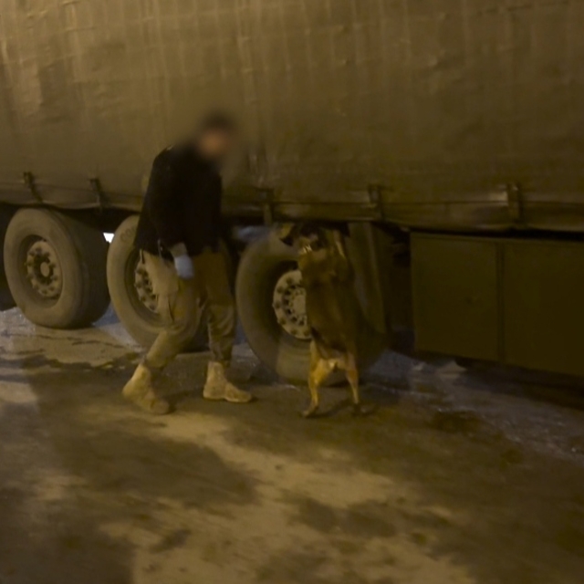 TIR'daki 51 kilo esrarı 'Mailo' buldu