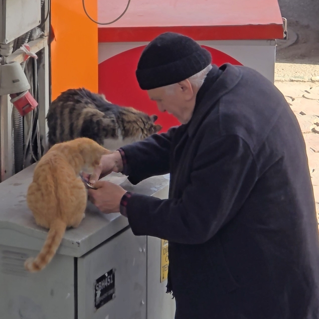 Yaşlı adamın sokak kedilerine şefkati yürekleri ısıttı