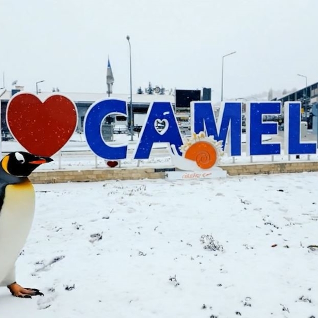 Sürüden ayrılan nihilist penguen Çameli'ye uğradı
Çameli Belediyesi de nihi...