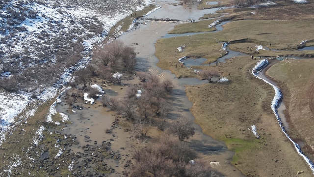 Diyarbakır'da kaybolan kadını arama çalışmaları havadan ve karadan sürüyor