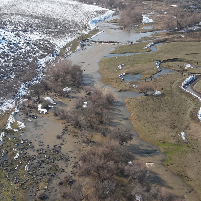 Diyarbakır'da kaybolan kadını arama çalışmaları havadan ve karadan sürüyor