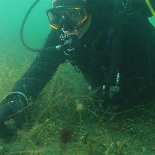 Belediye başkanı dalış yaptı, su altından müjdeyle çıktı
İzmit Körfezi'nde...