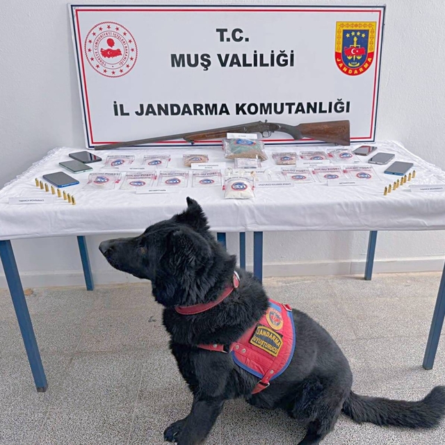 Muş'ta uyuşturucu operasyonu: 5 şüpheli tutuklandı