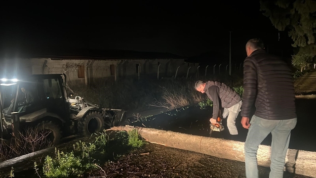 Fırtına mezarlıkta ağaçları devirdi, belediye ekipleri anında müdahale etti