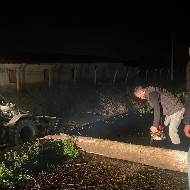 Fırtına mezarlıkta ağaçları devirdi, belediye ekipleri anında müdahale etti