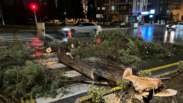 Denizli'de kuvvetli rüzgar etkili oldu
