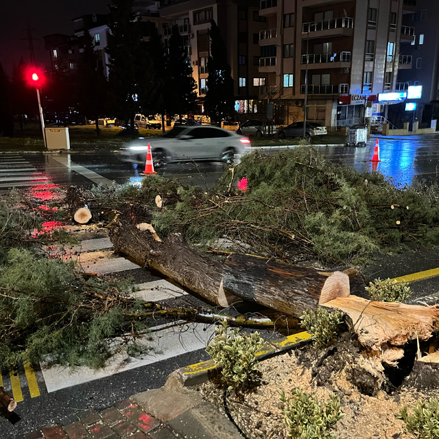 Denizli'de kuvvetli rüzgar etkili oldu