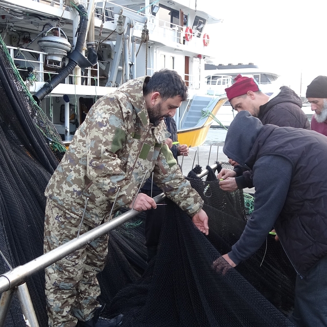 İğneada ve Gürcistan açıklarındaki hamsi avı beklentileri karşılamayınca ba...