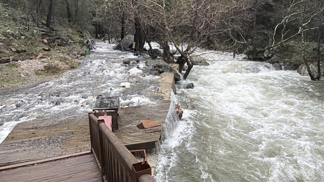 Kazdağların'da ani kar erimesi ve sağanak yağış nedeniyle dereler yataklarına sığmıyor
Kazdağlarında kar erimesi derelerin debilerini 4 kat artırdı