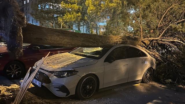 Denizli'de fırtına ağaçları devirdi, çatıları uçurdu