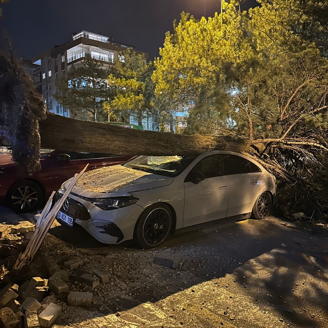 Denizli'de fırtına ağaçları devirdi, çatıları uçurdu
