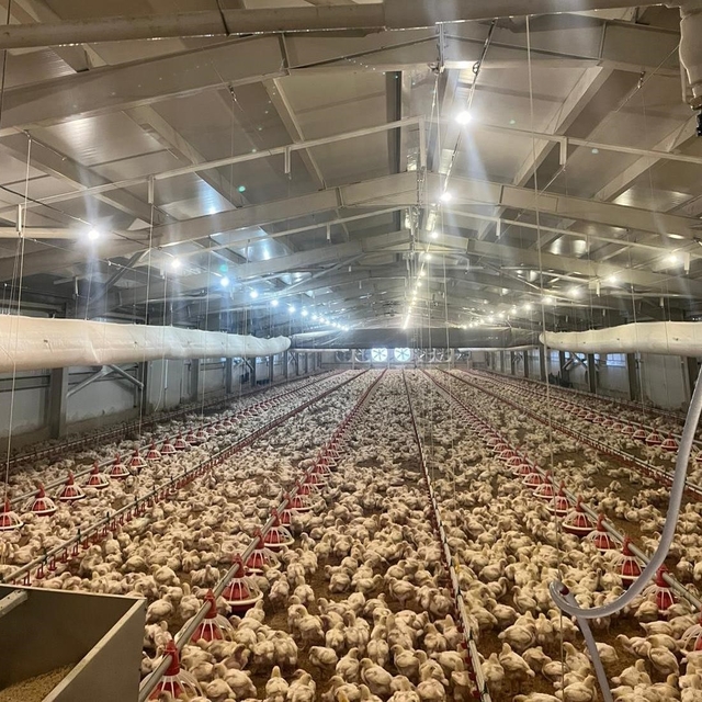 Kırsalda üretime 33,6 milyon liralık can suyu