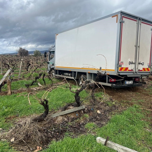 Sabıkalı yolda kamyon üzüm bağına girdi