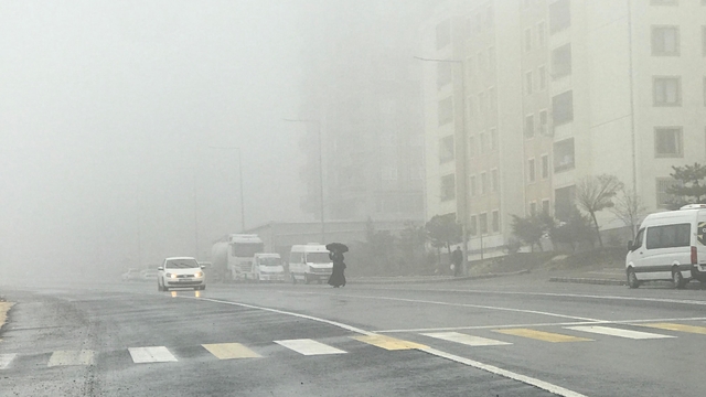 Şanlıurfa'da yoğun sis ve yağmur etkili oluyor