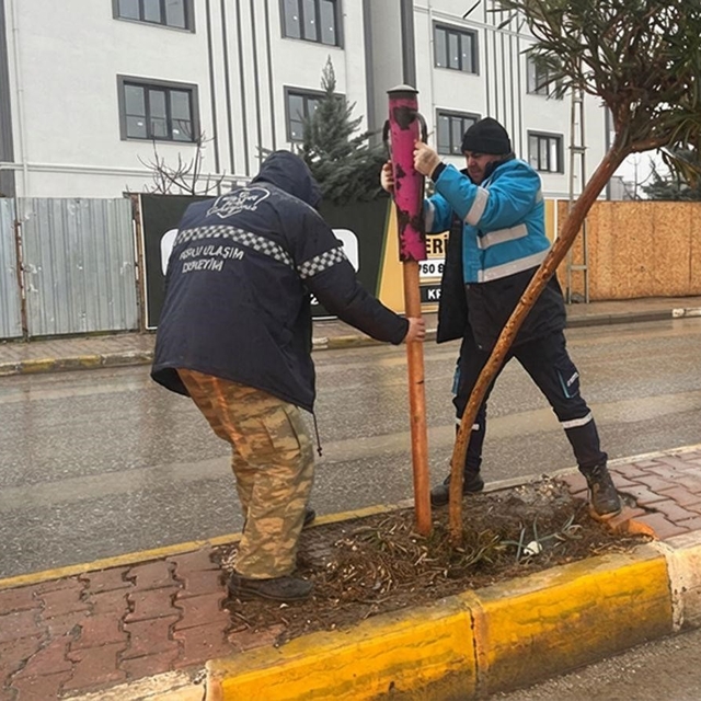Yeşil alanlarda mevsimlik bakım ve güçlendirme seferberliği